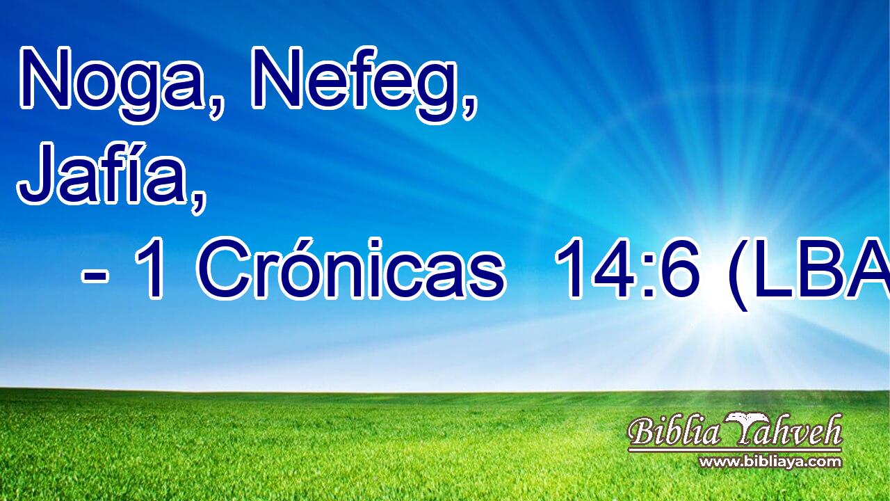 Noga, Nefeg, Jafía,