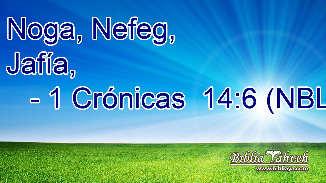  Noga, Nefeg, Jafía, 