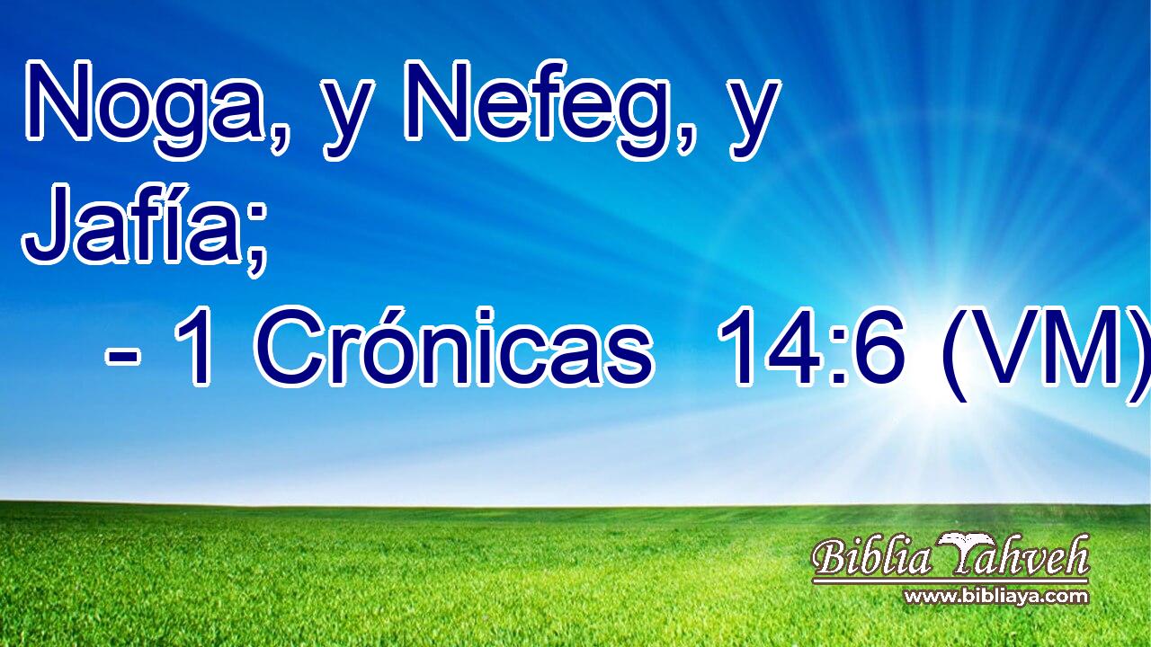  Noga, y Nefeg, y Jafía; 
