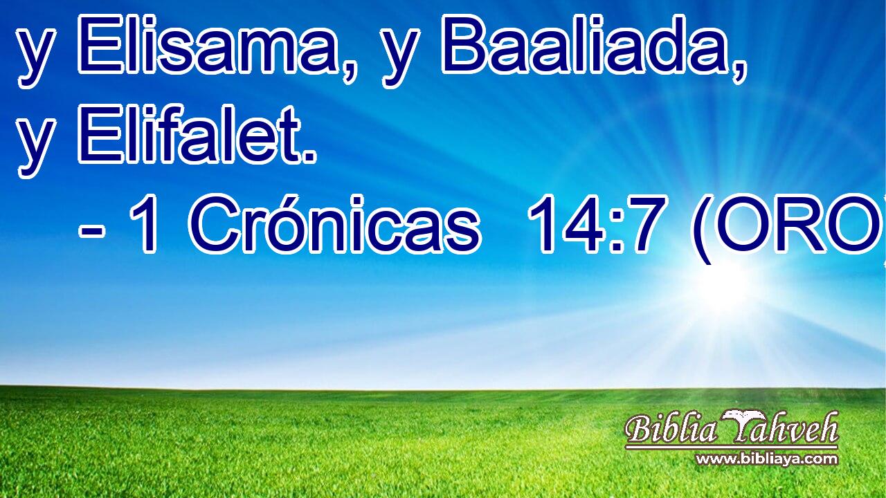  y Elisama, y Baaliada, y Elifalet. 