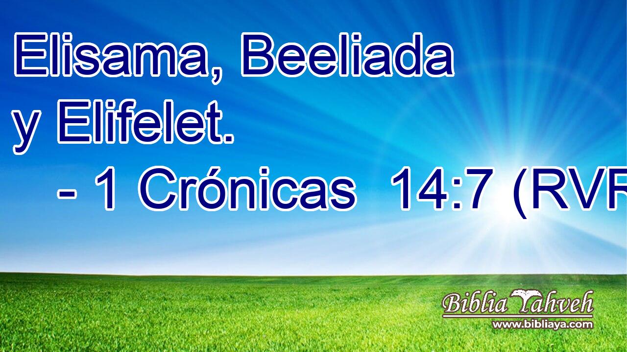 Elisama, Beeliada y Elifelet.