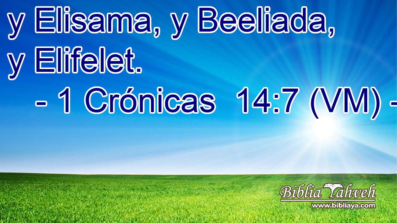  y Elisama, y Beeliada, y Elifelet. 