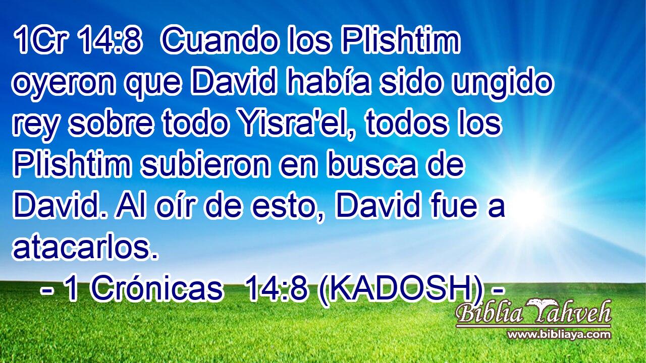  Cuando los Plishtim oyeron que David había sido ungido rey sobre todo Yisra'el, todos los Plishtim subieron en busca de David. Al oír de esto, David fue a atacarlos. 