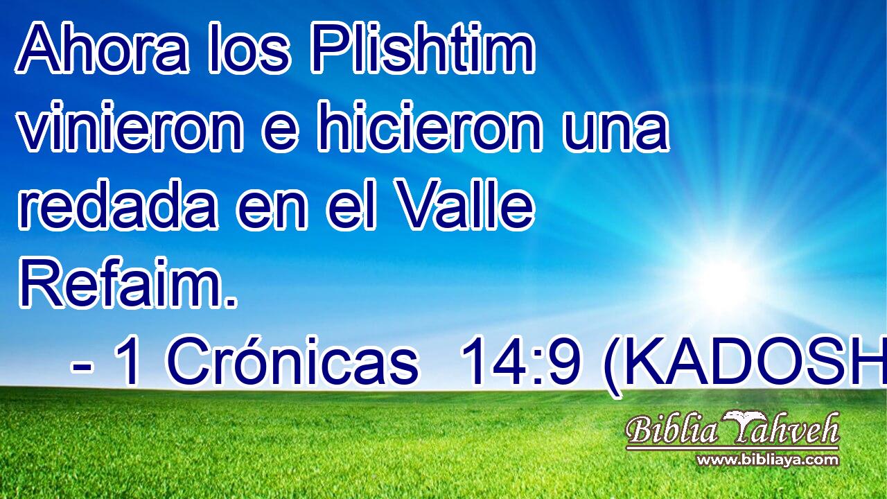  Ahora los Plishtim vinieron e hicieron una redada en el Valle Refaim. 