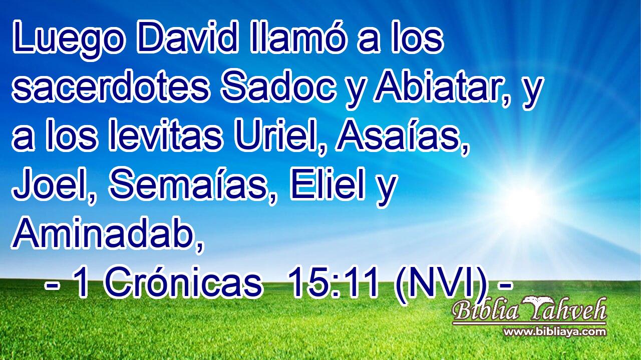  Luego David llamó a los sacerdotes Sadoc y Abiatar, y a los levitas Uriel, Asaías, Joel, Semaías, Eliel y Aminadab, 