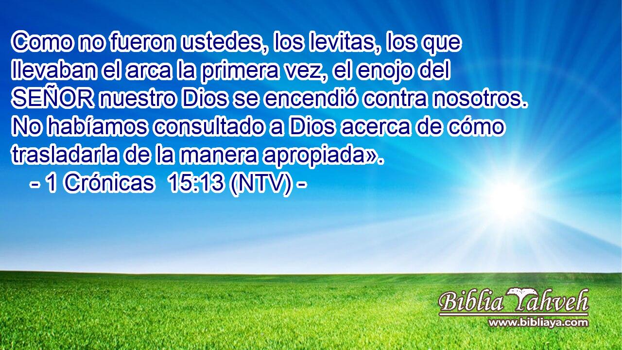 Como no fueron ustedes, los levitas, los que llevaban el arca la primera vez, el enojo del SEÑOR nuestro Dios se encendió contra nosotros. No habíamos consultado a Dios acerca de cómo trasladarla de la manera apropiada».