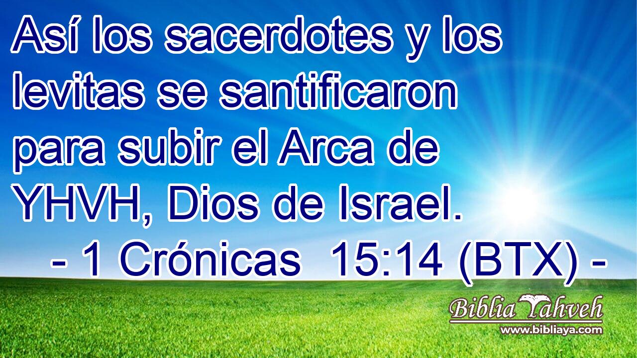 Así los sacerdotes y los levitas se santificaron para subir el Arca de YHVH, Dios de Israel.