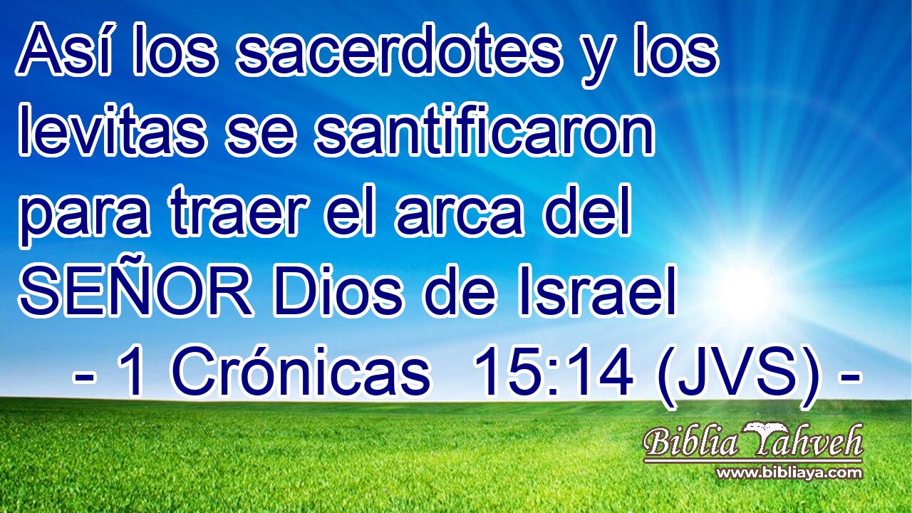 Así los sacerdotes y los levitas se santificaron para traer el arca del SEÑOR Dios de Israel