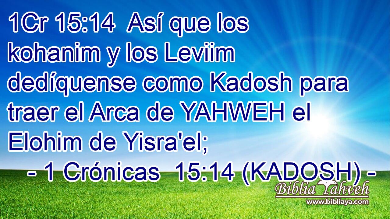  Así que los kohanim y los Leviim dedíquense como Kadosh para traer el Arca de YAHWEH el Elohim de Yisra'el; 