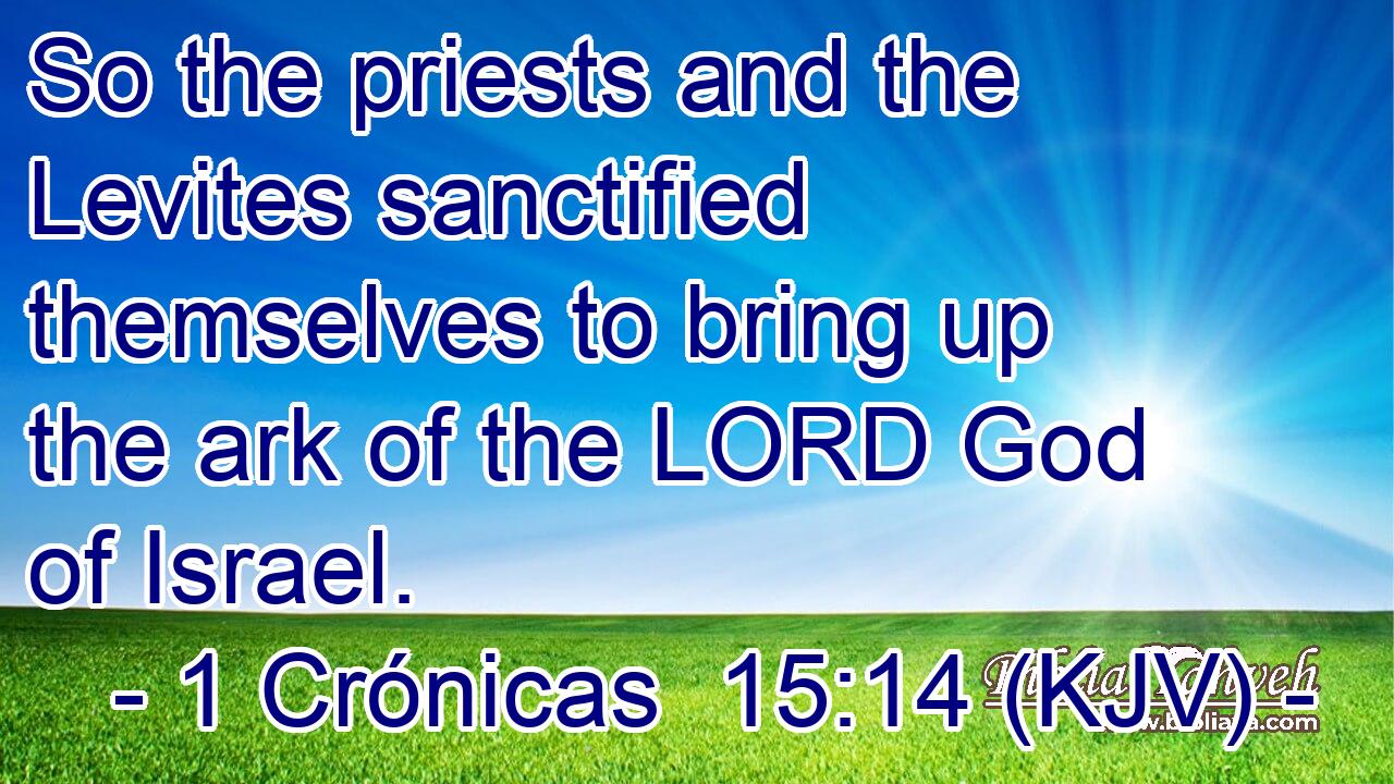So the priests and the Levites sanctified themselves to bring up the ark of the LORD God of Israel.