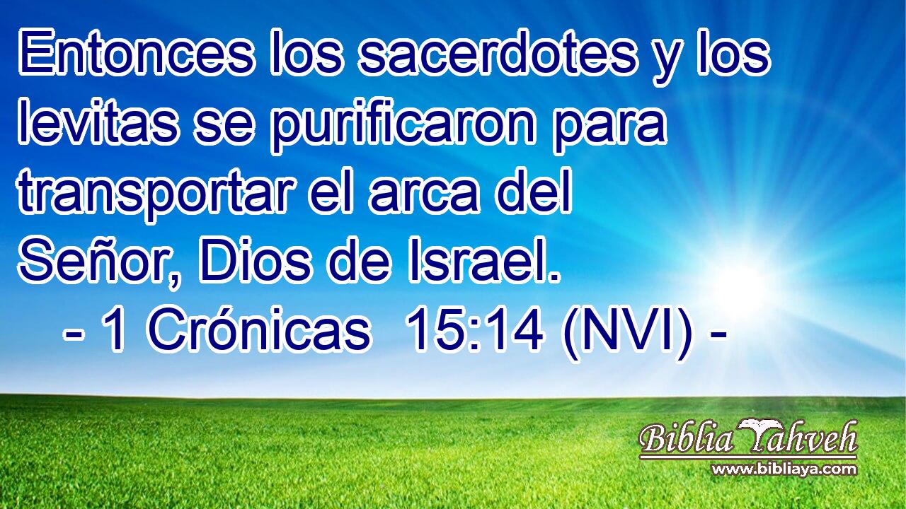  Entonces los sacerdotes y los levitas se purificaron para transportar el arca del Señor, Dios de Israel. 
