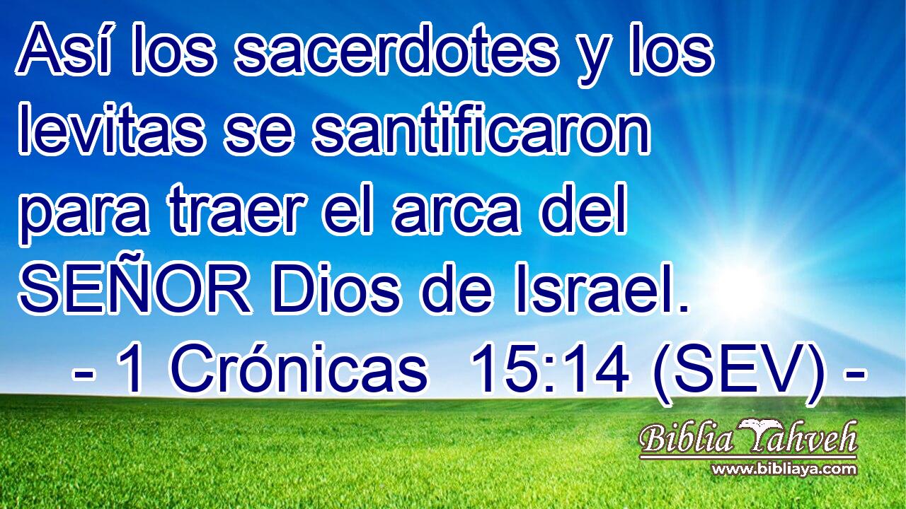 Así los sacerdotes y los levitas se santificaron para traer el arca del SEÑOR Dios de Israel.