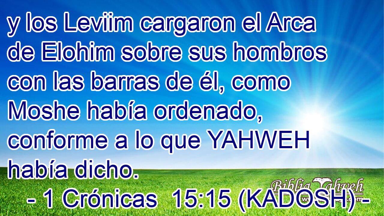  y los Leviim cargaron el Arca de Elohim sobre sus hombros con las barras de él, como Moshe había ordenado, conforme a lo que YAHWEH había dicho. 