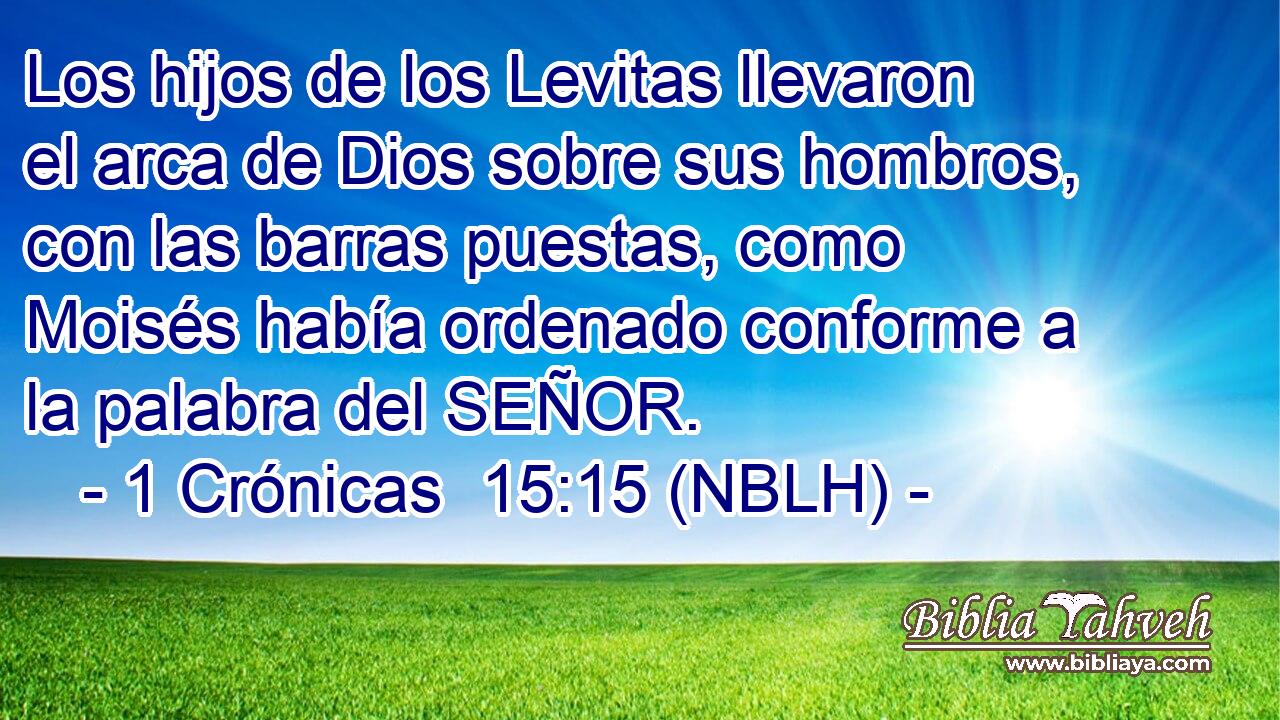  Los hijos de los Levitas llevaron el arca de Dios sobre sus hombros, con las barras puestas, como Moisés había ordenado conforme a la palabra del SEÑOR. 