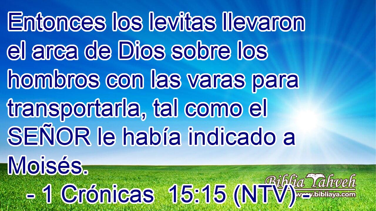 Entonces los levitas llevaron el arca de Dios sobre los hombros con las varas para transportarla, tal como el SEÑOR le había indicado a Moisés.