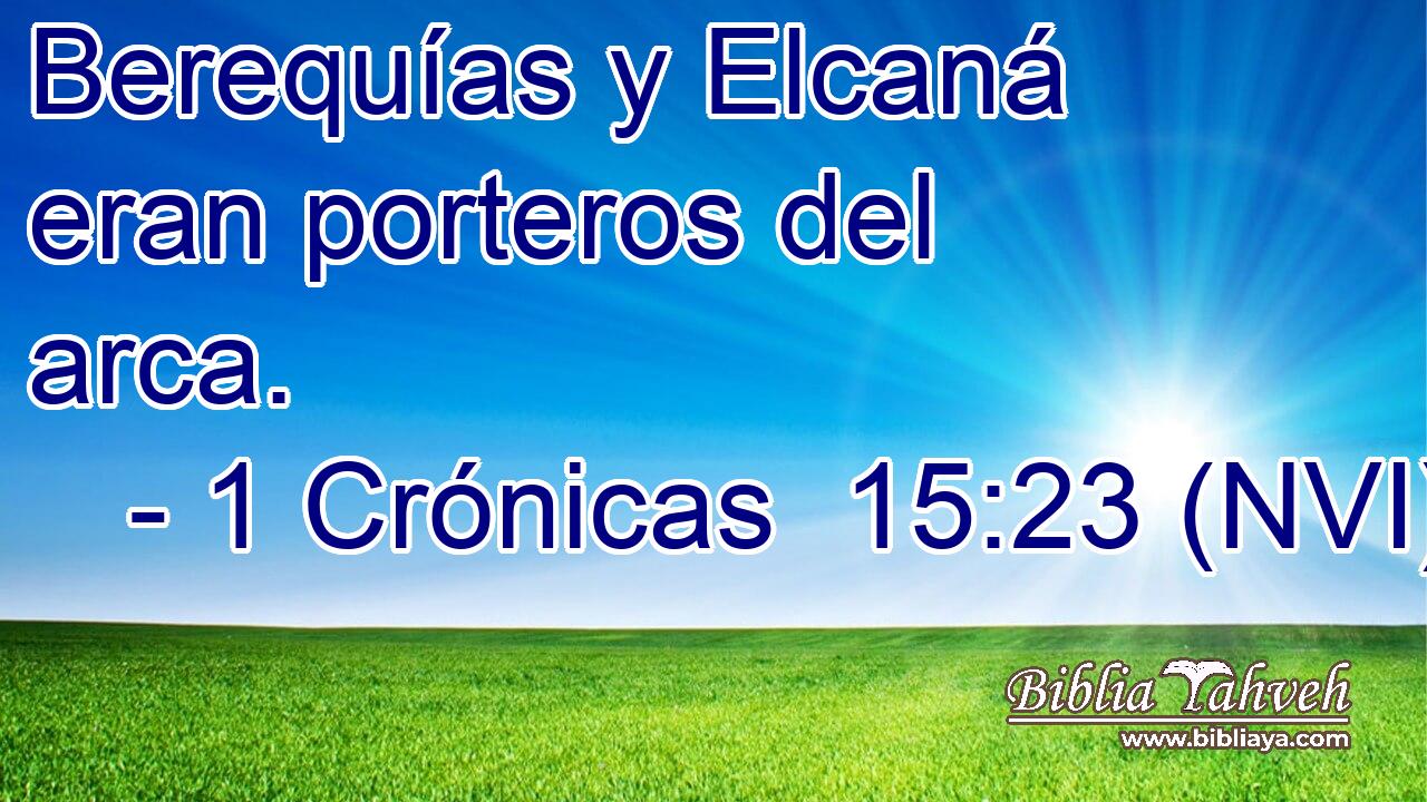  Berequías y Elcaná eran porteros del arca. 