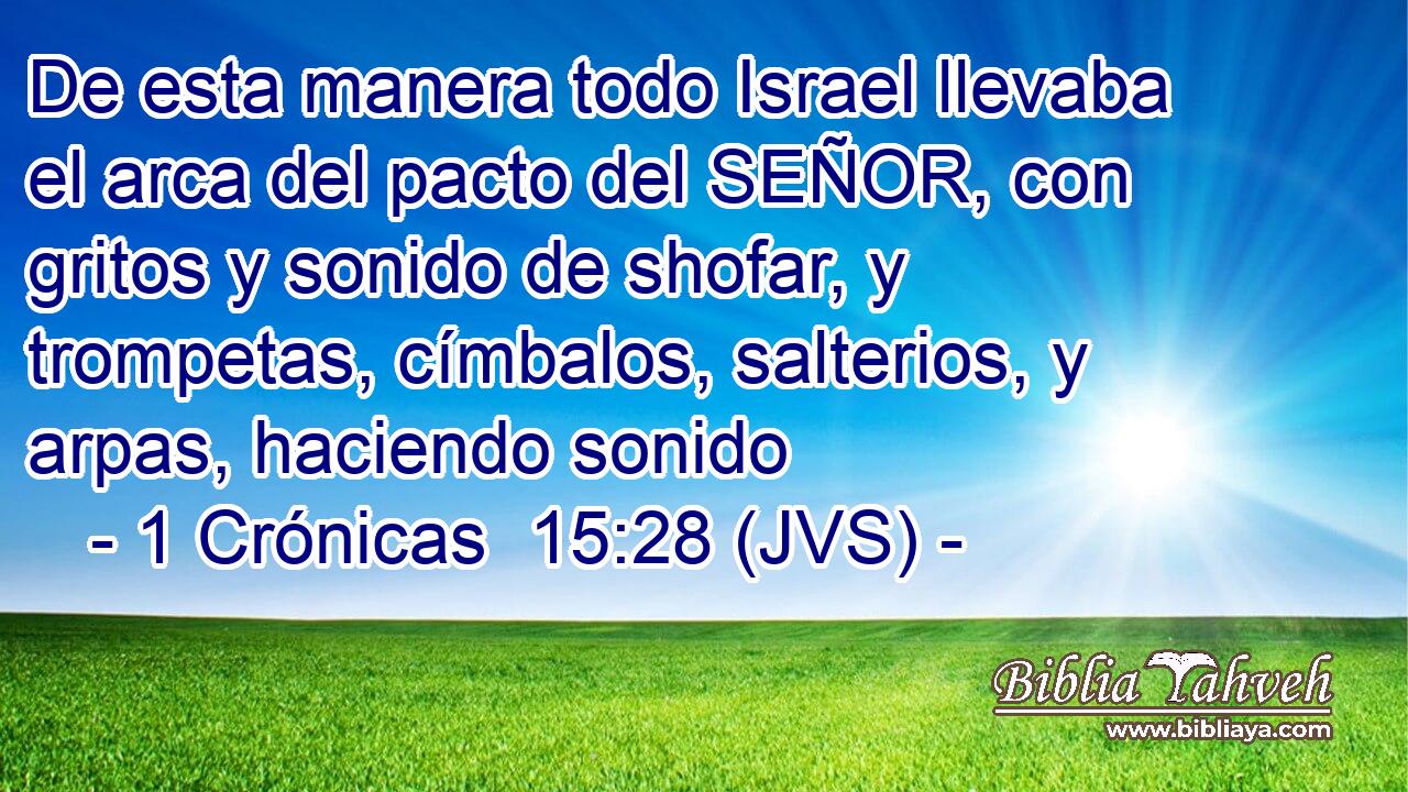 De esta manera todo Israel llevaba el arca del pacto del SEÑOR, con gritos y sonido de shofar, y trompetas, címbalos, salterios, y arpas, haciendo sonido