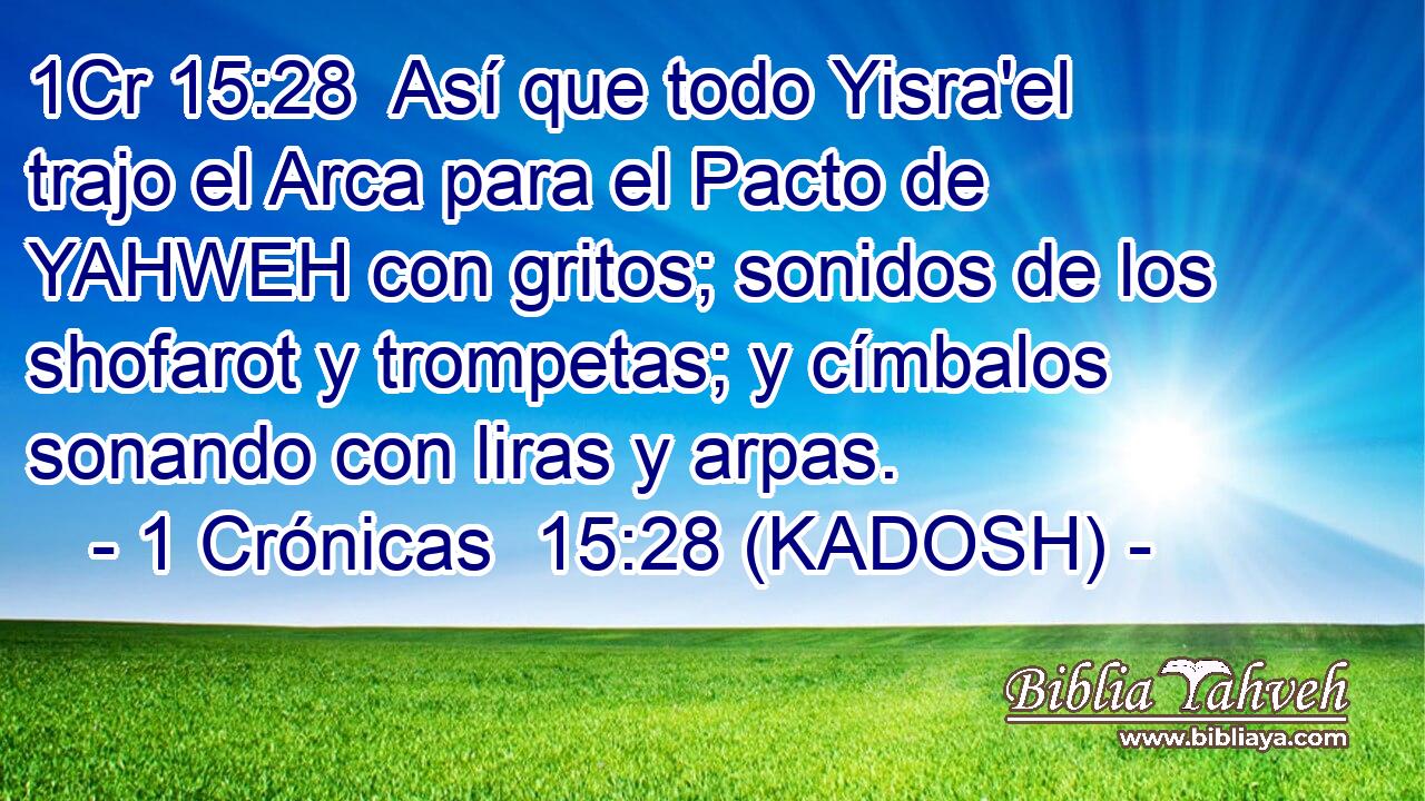 Así que todo Yisra'el trajo el Arca para el Pacto de YAHWEH con gritos; sonidos de los shofarot y trompetas; y címbalos sonando con liras y arpas. 