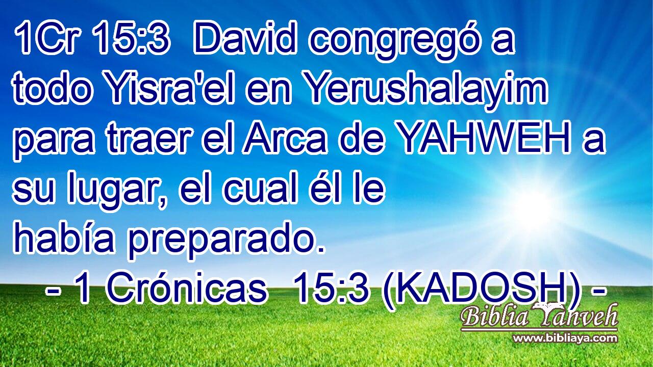  David congregó a todo Yisra'el en Yerushalayim para traer el Arca de YAHWEH a su lugar, el cual él le había preparado. 