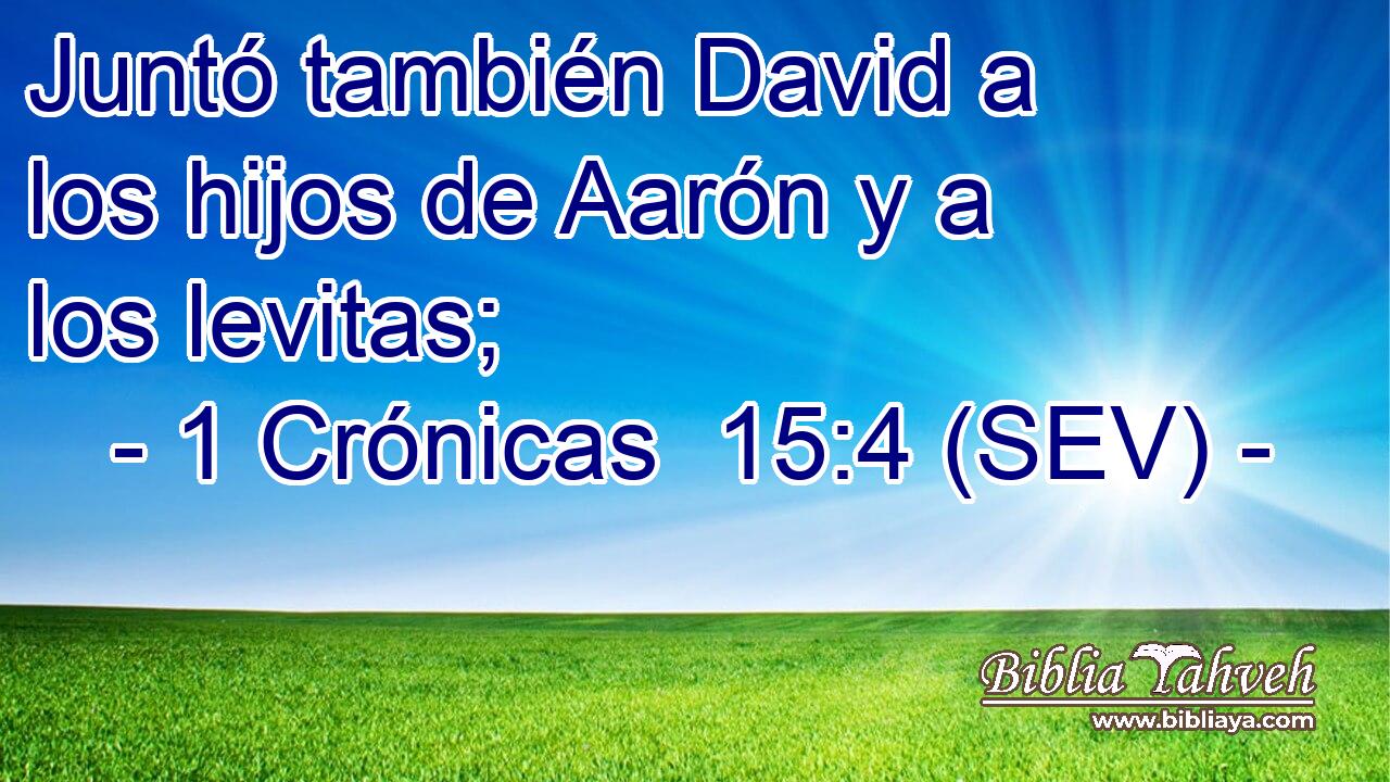 Juntó también David a los hijos de Aarón y a los levitas;