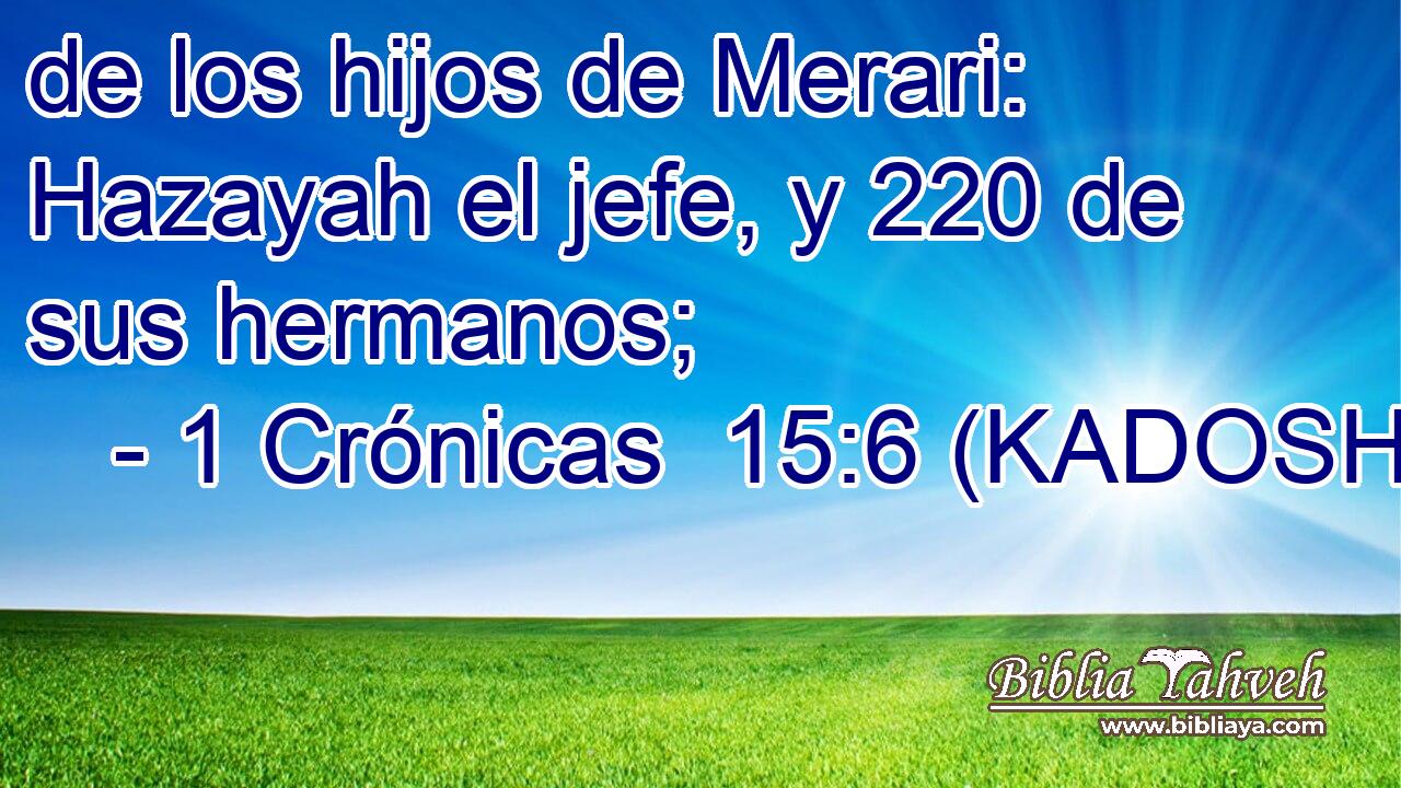  de los hijos de Merari: Hazayah el jefe, y 220 de sus hermanos; 