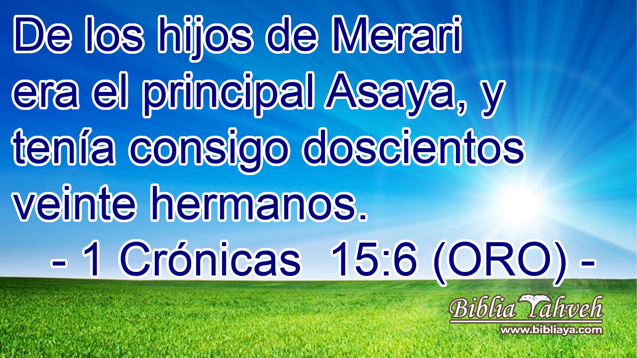  De los hijos de Merari era el principal Asaya, y tenía consigo doscientos veinte hermanos. 