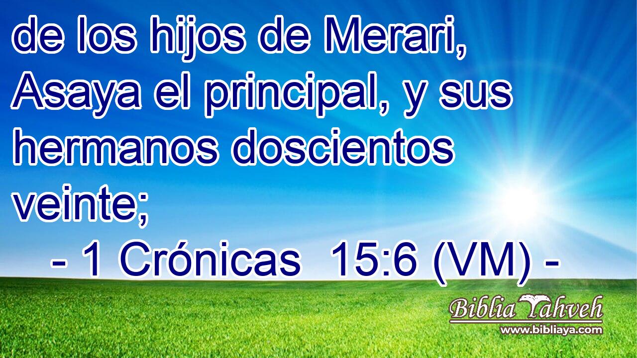  de los hijos de Merari, Asaya el principal, y sus hermanos doscientos veinte; 