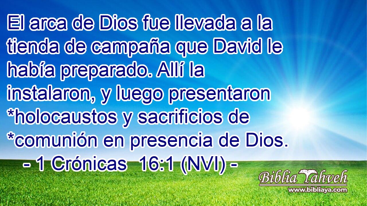  El arca de Dios fue llevada a la tienda de campaña que David le había preparado. Allí la instalaron, y luego presentaron *holocaustos y sacrificios de *comunión en presencia de Dios. 