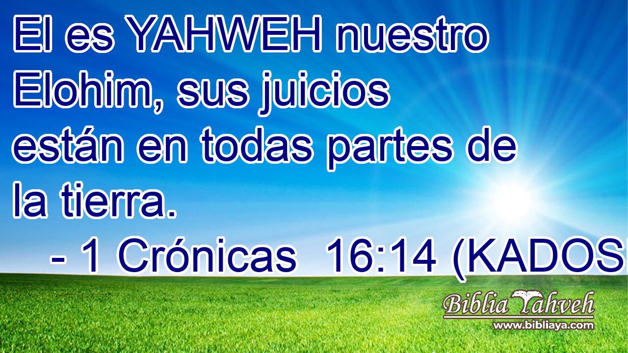  El es YAHWEH nuestro Elohim, sus juicios están en todas partes de la tierra. 