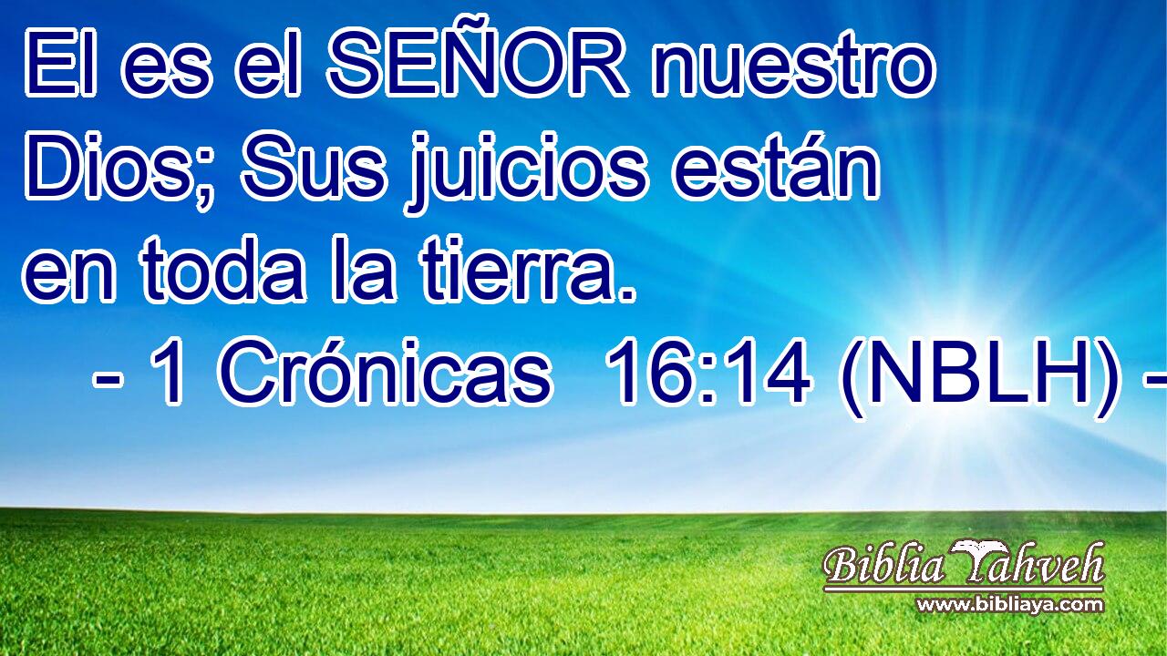  El es el SEÑOR nuestro Dios; Sus juicios están en toda la tierra. 