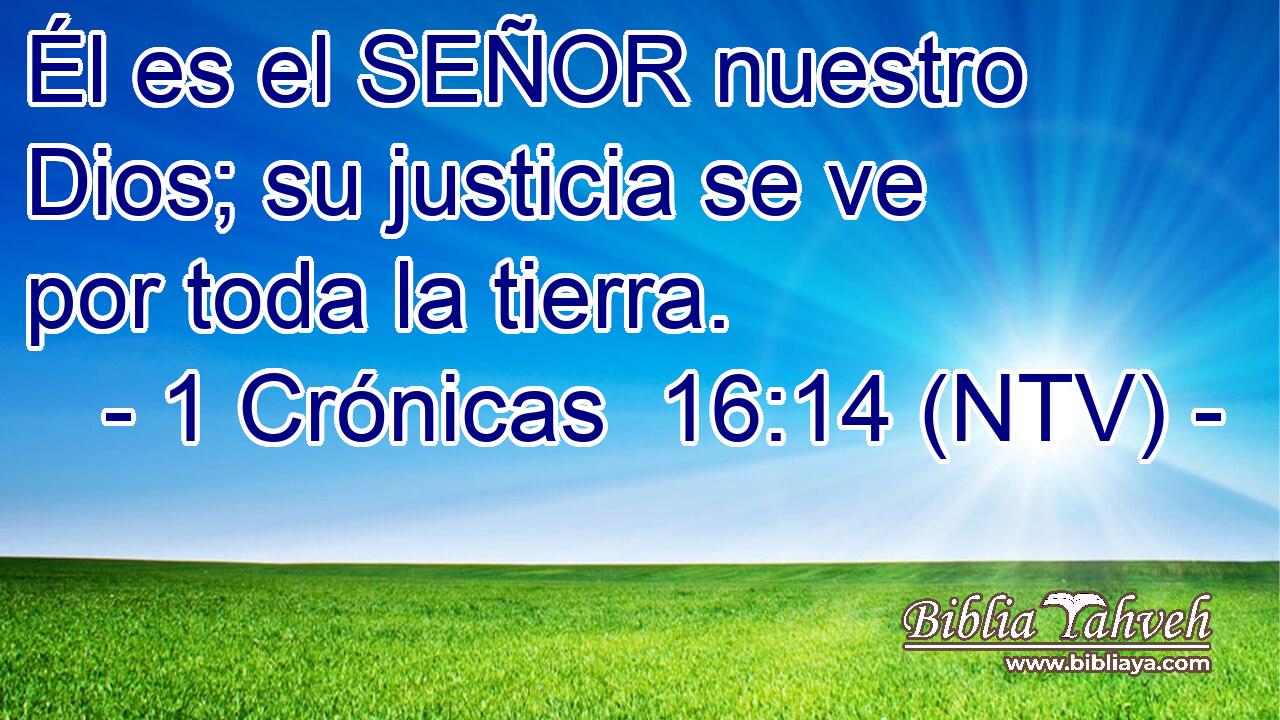 Él es el SEÑOR nuestro Dios; su justicia se ve por toda la tierra.