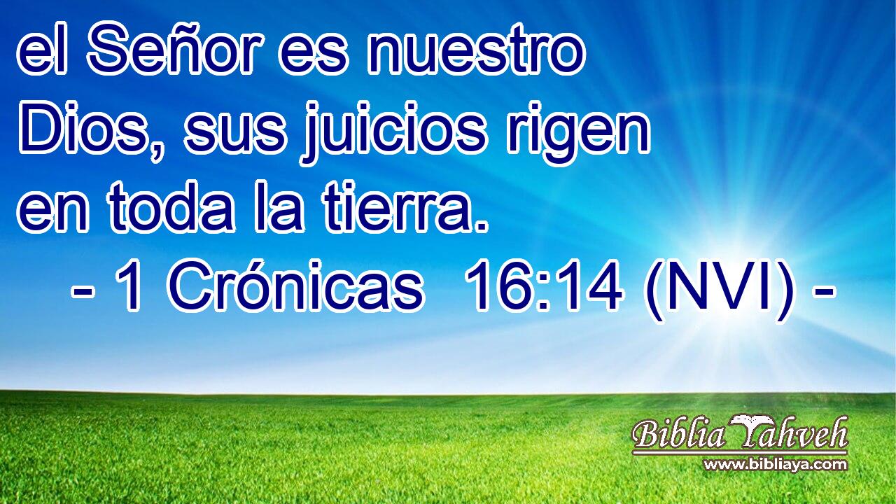  el Señor es nuestro Dios, sus juicios rigen en toda la tierra. 