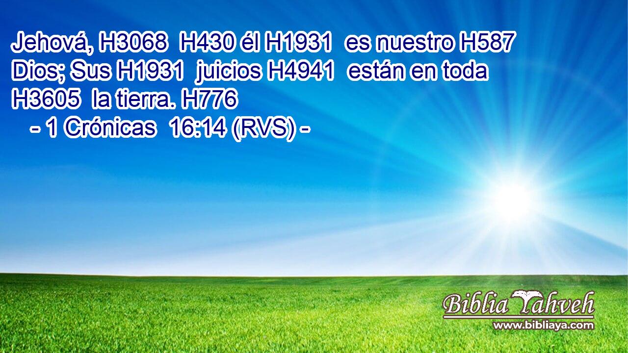 Jehová, H3068  H430 él H1931  es nuestro H587  Dios; Sus H1931  juicios H4941  están en toda H3605  la tierra. H776  