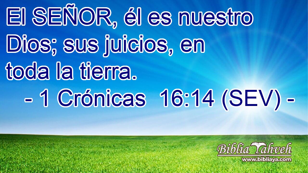 El SEÑOR, él es nuestro Dios; sus juicios, en toda la tierra.
