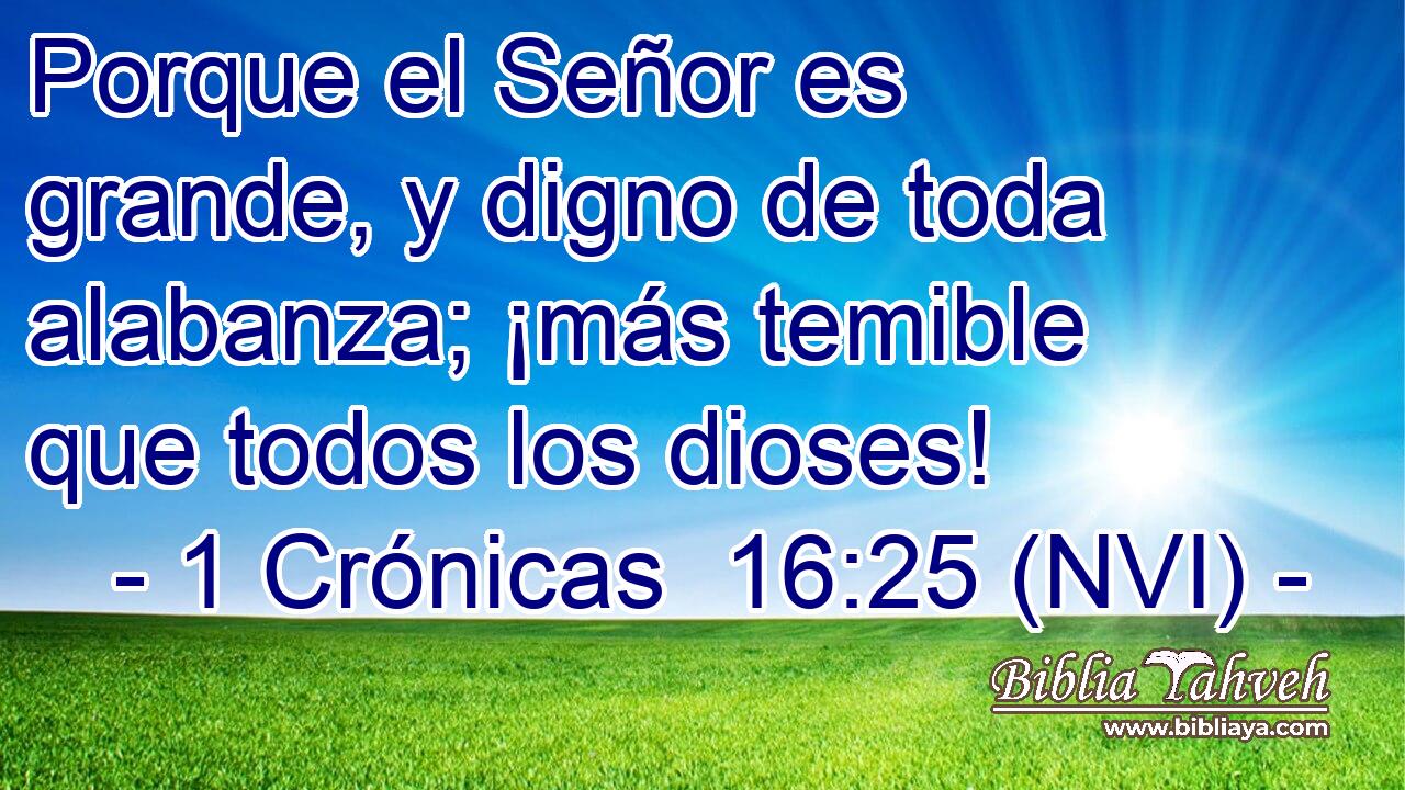 Porque el Señor es grande, y digno de toda alabanza; ¡más temible que todos los dioses! 