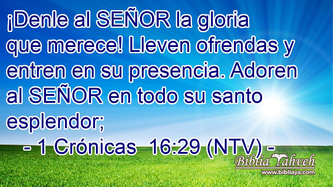¡Denle al SEÑOR la gloria que merece! Lleven ofrendas y entren en su presencia. Adoren al SEÑOR en todo su santo esplendor;