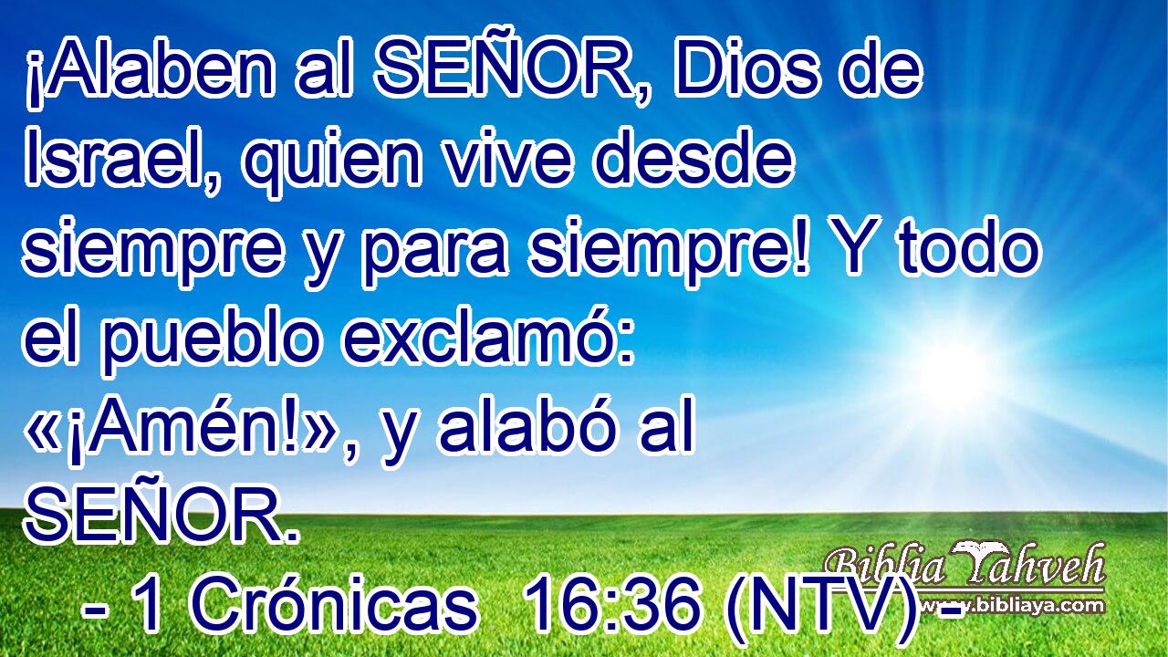 ¡Alaben al SEÑOR, Dios de Israel, quien vive desde siempre y para siempre! Y todo el pueblo exclamó: «¡Amén!», y alabó al SEÑOR.