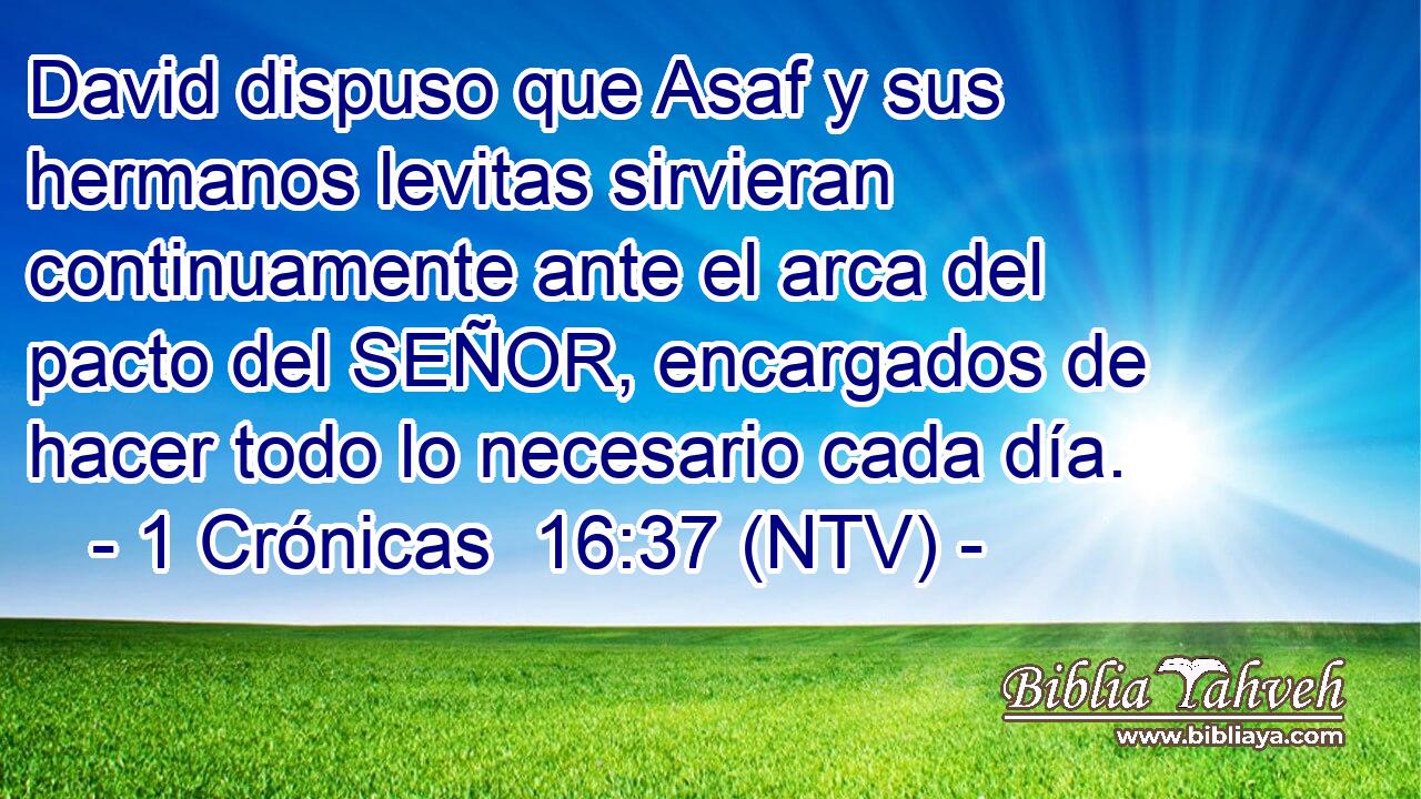 David dispuso que Asaf y sus hermanos levitas sirvieran continuamente ante el arca del pacto del SEÑOR, encargados de hacer todo lo necesario cada día.