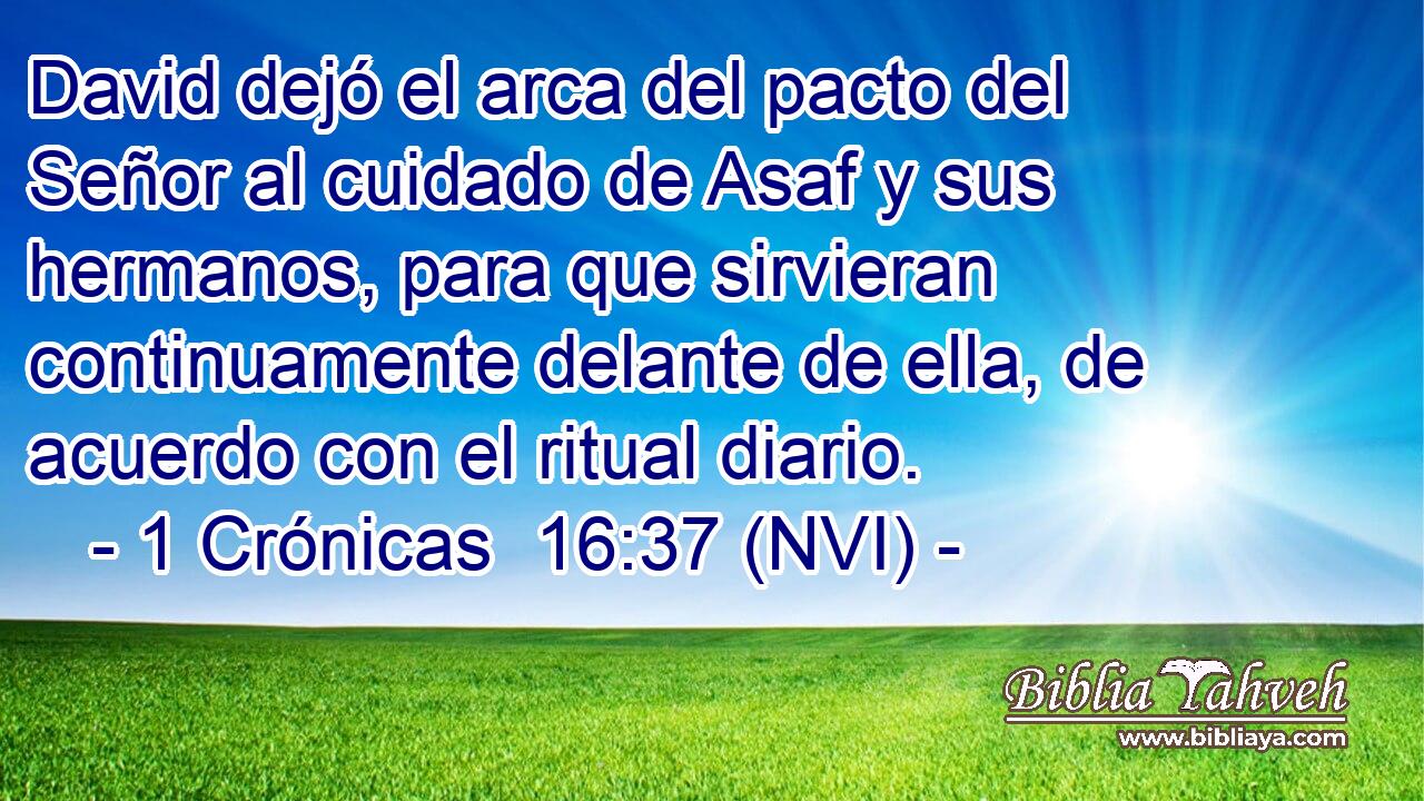  David dejó el arca del pacto del Señor al cuidado de Asaf y sus hermanos, para que sirvieran continuamente delante de ella, de acuerdo con el ritual diario. 