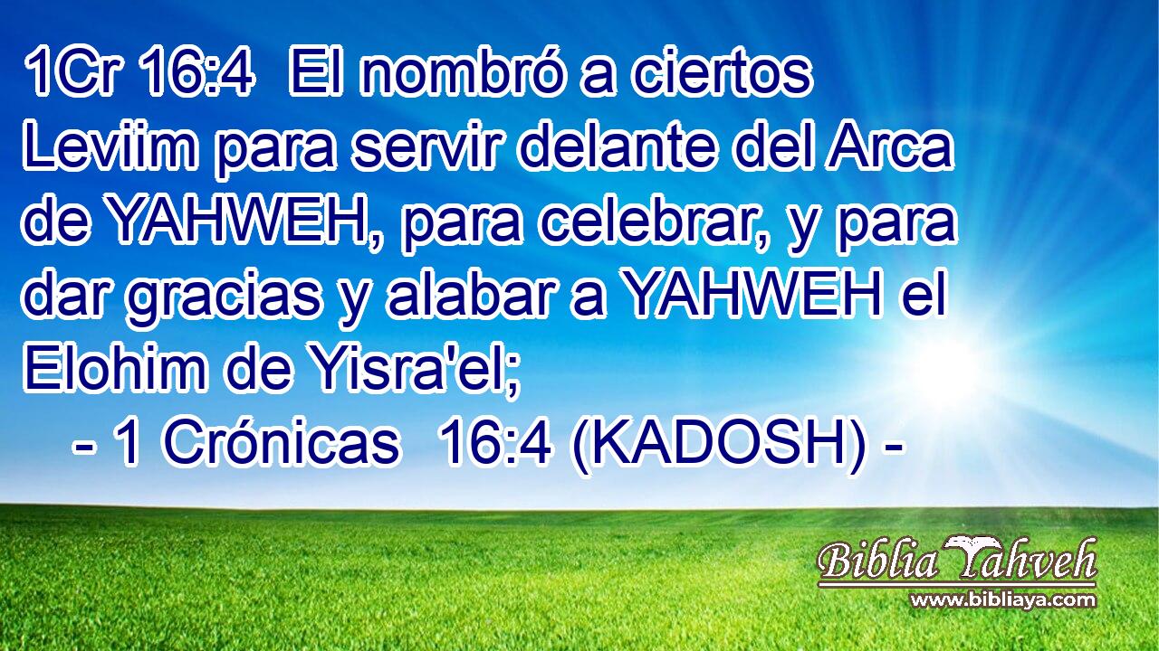  El nombró a ciertos Leviim para servir delante del Arca de YAHWEH, para celebrar, y para dar gracias y alabar a YAHWEH el Elohim de Yisra'el; 