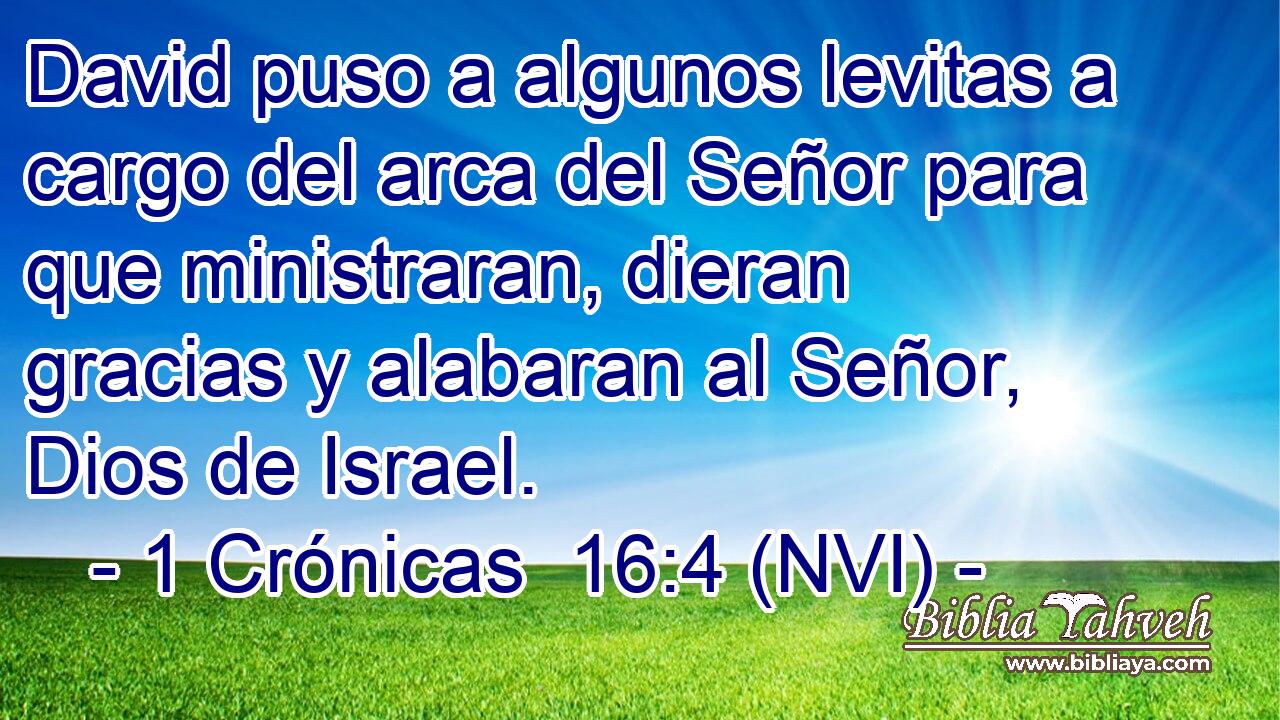  David puso a algunos levitas a cargo del arca del Señor para que ministraran, dieran gracias y alabaran al Señor, Dios de Israel. 