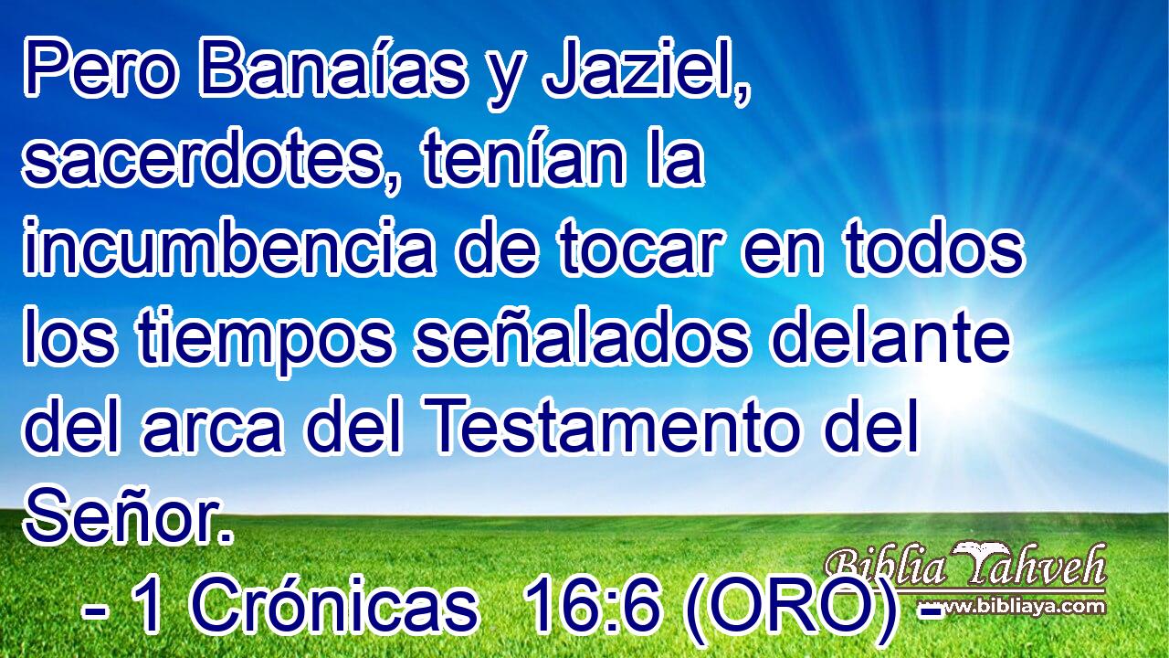  Pero Banaías y Jaziel, sacerdotes, tenían la incumbencia de tocar en todos los tiempos señalados delante del arca del Testamento del Señor. 