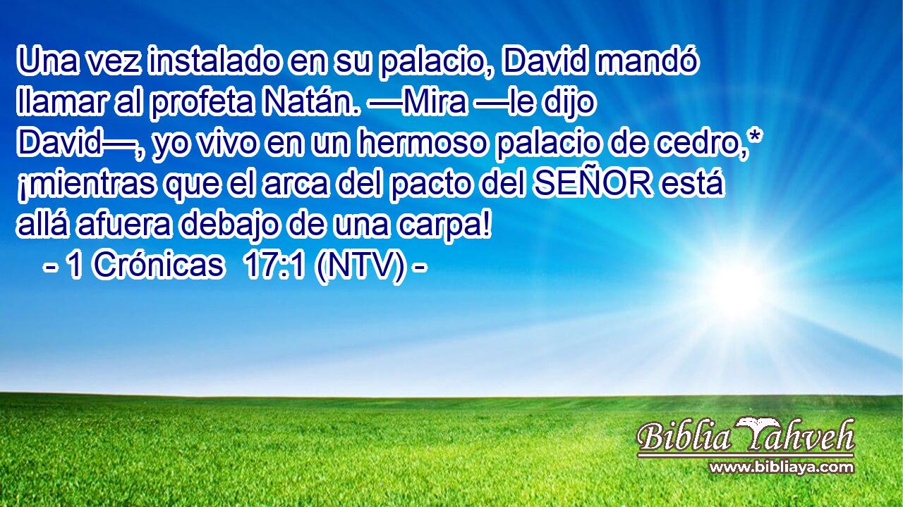 Una vez instalado en su palacio, David mandó llamar al profeta Natán. —Mira —le dijo David—, yo vivo en un hermoso palacio de cedro,* ¡mientras que el arca del pacto del SEÑOR está allá afuera debajo de una carpa!