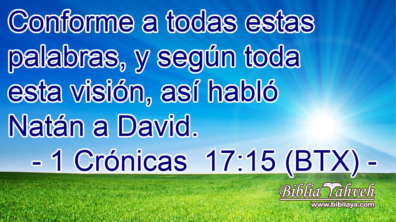 Conforme a todas estas palabras, y según toda esta visión, así habló Natán a David.