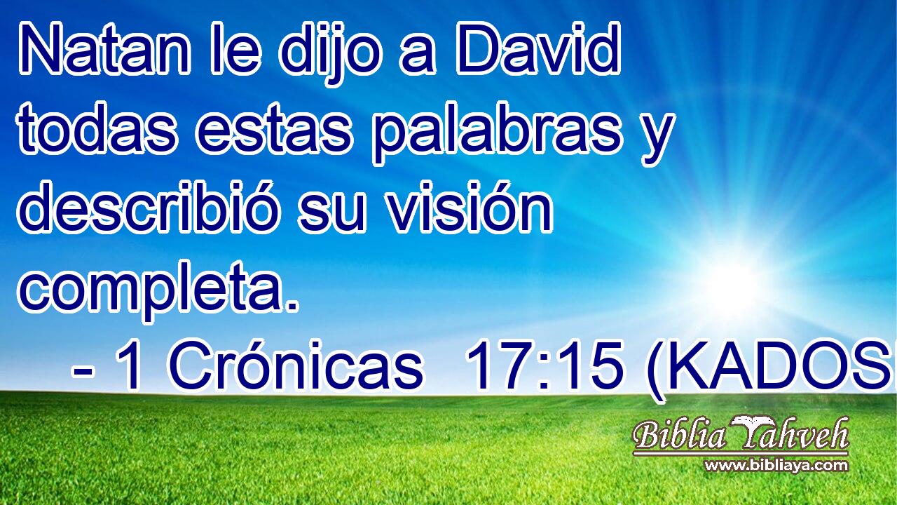  Natan le dijo a David todas estas palabras y describió su visión completa. 