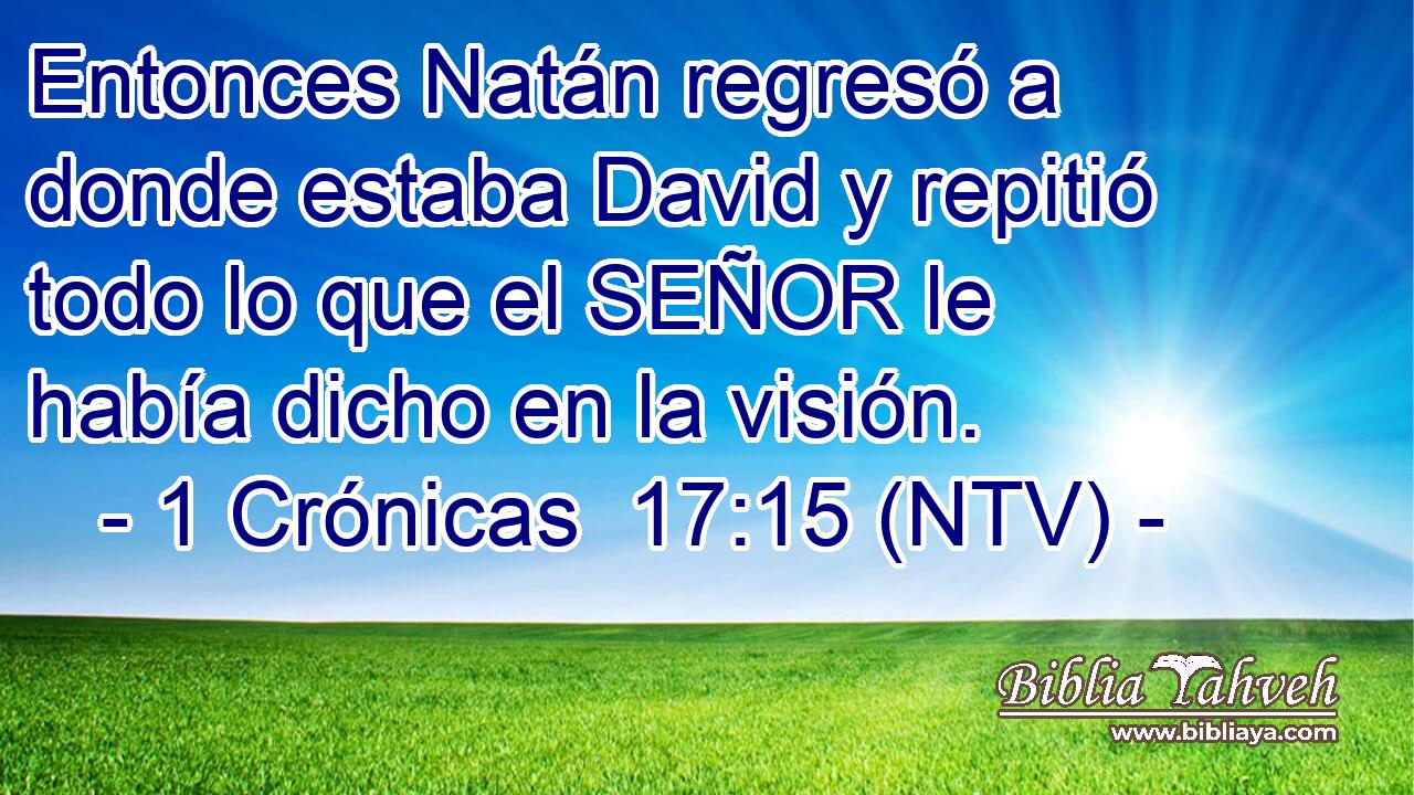Entonces Natán regresó a donde estaba David y repitió todo lo que el SEÑOR le había dicho en la visión.