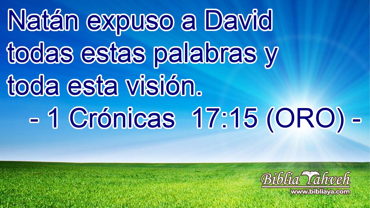  Natán expuso a David todas estas palabras y toda esta visión. 