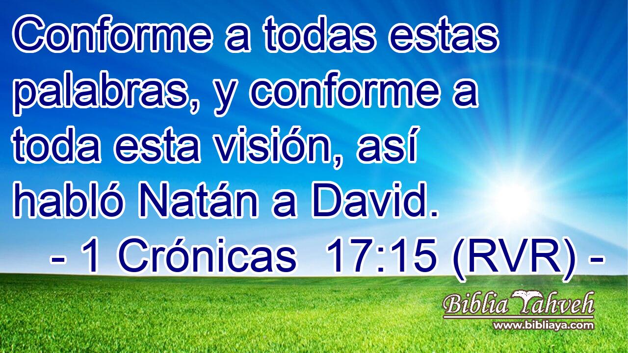 Conforme a todas estas palabras, y conforme a toda esta visión, así habló Natán a David.