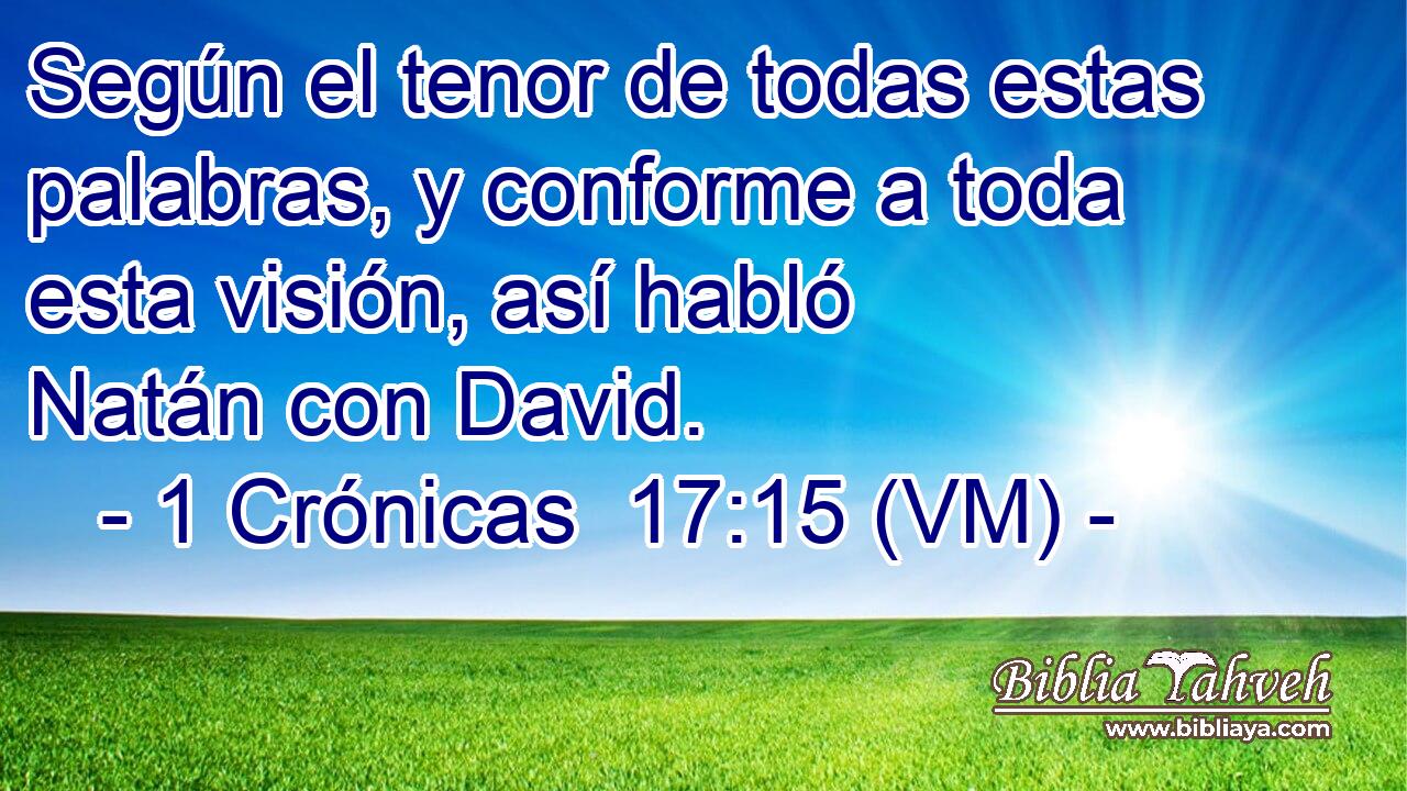  Según el tenor de todas estas palabras, y conforme a toda esta visión, así habló Natán con David. 