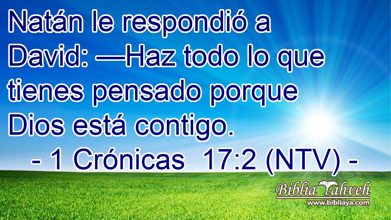 Natán le respondió a David: —Haz todo lo que tienes pensado porque Dios está contigo.